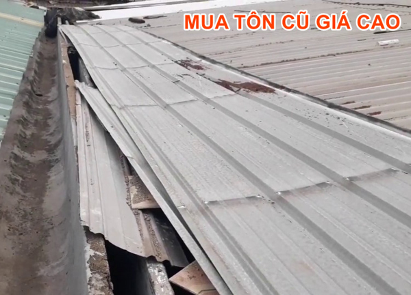 Mua thanh lý tôn cũ giá cao tại TPHCM, Bình Dương, Đồng Nai, Long An