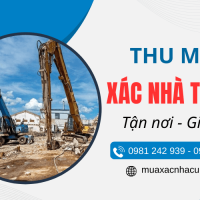 Thu mua xác nhà TPHCM - Giá cao, tháo dỡ nhanh, thu gom tận nơi